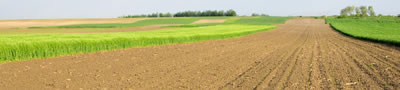ARPROMA - produttori macchine agricole