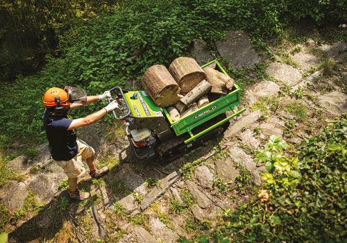 TRASPORTATORI CINGOLATI - Merlo spa TRASPORTATORI CINGOLATI - Merlo spa